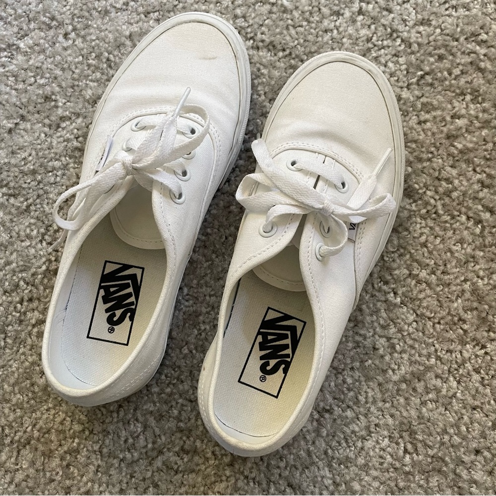 Vans Authentic Shoes..these have some light staining
